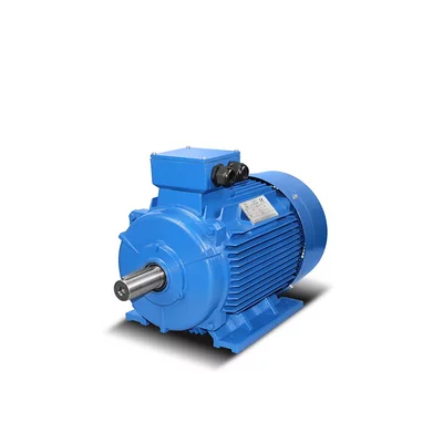 Żeliwne silniki elektryczne 4,0 kW - 500 kW