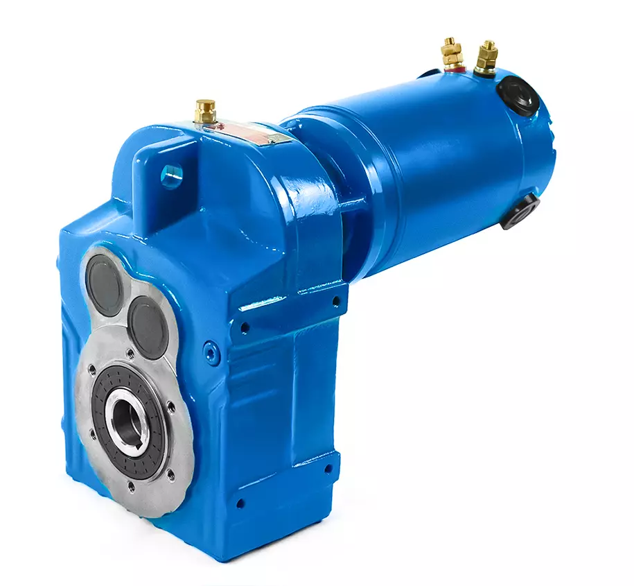 DV173-DC250-2-0,35 kW-32 obr/min Motoreduktor z wałem równoległym