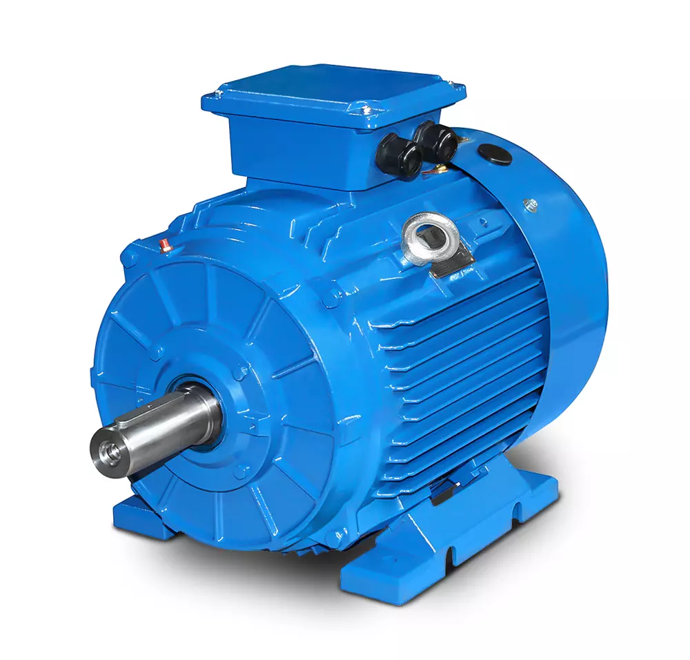 Silnik trójfazowy IE5 160M-4, 11 kW, 4-biegunowy, B3