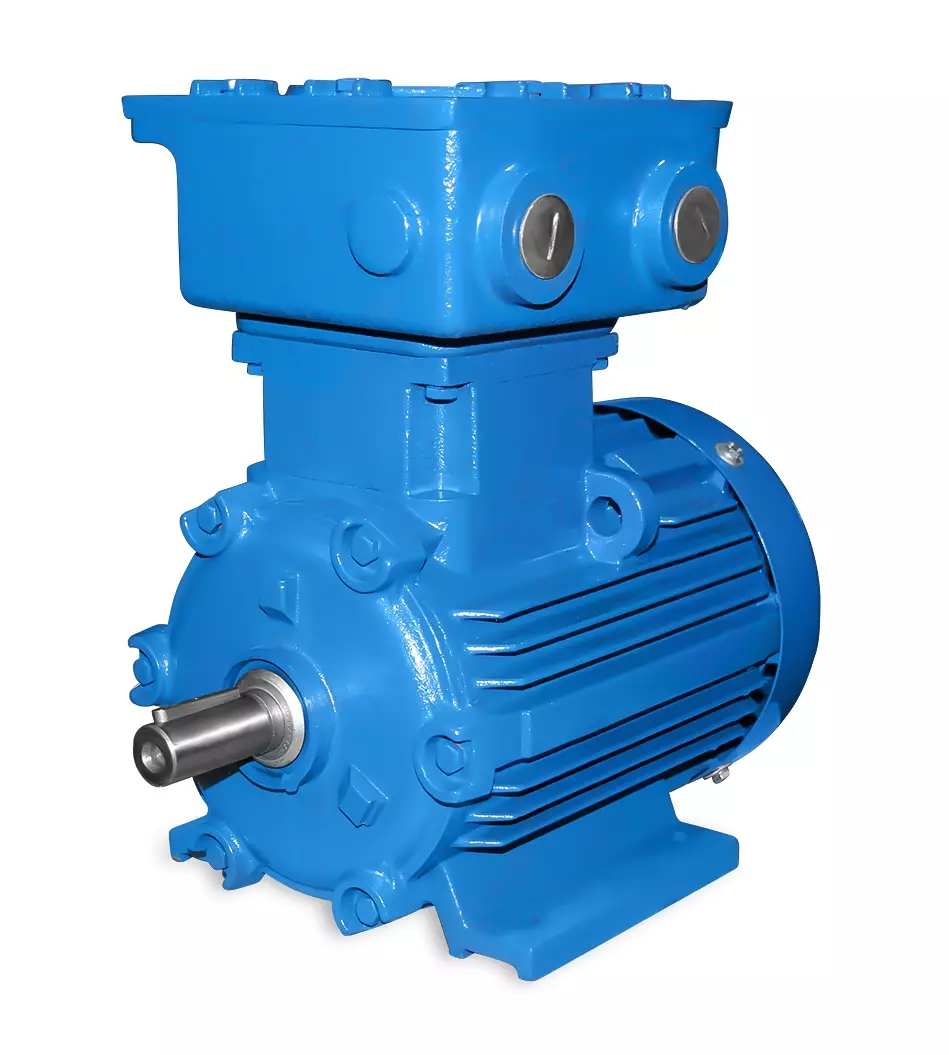 Silnik elektryczny ATEX 100L 3,0 kW 2-biegunowy-B3