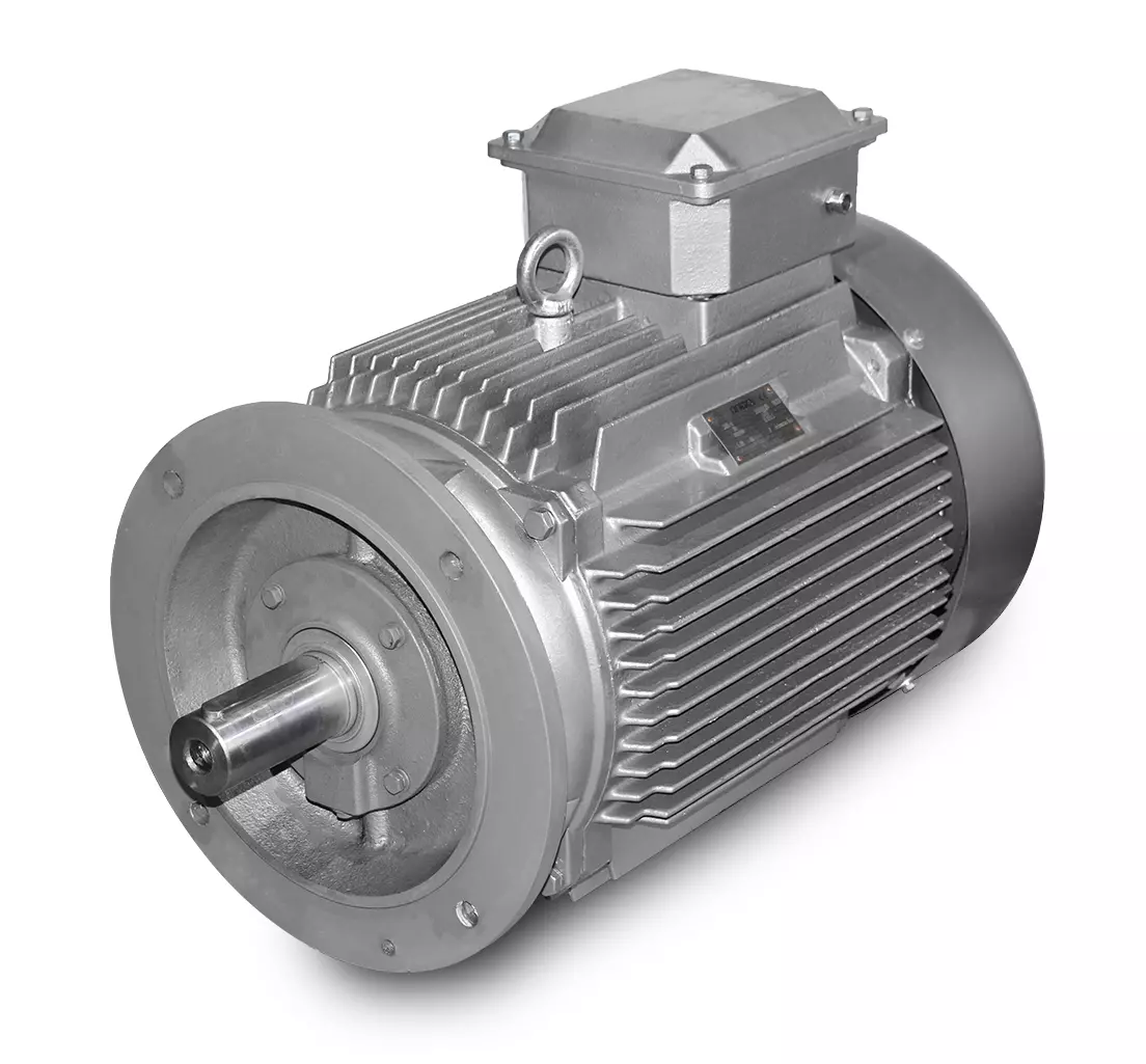 Silnik elektryczny-M3 200L-30 kW-4pol-B5/V3